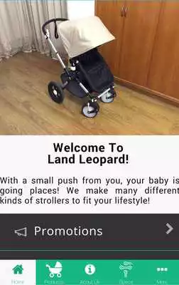 Play Land Leopard