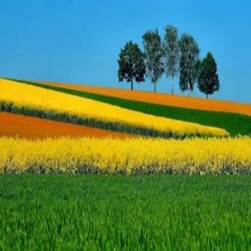 Play Landscapes Wallpaper FULL HD APK