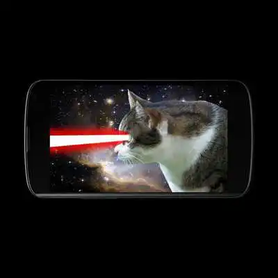 Play Laser Cat