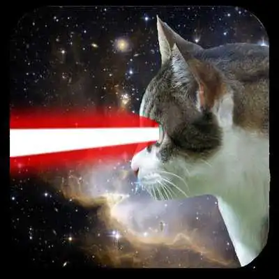 Play Laser Cat