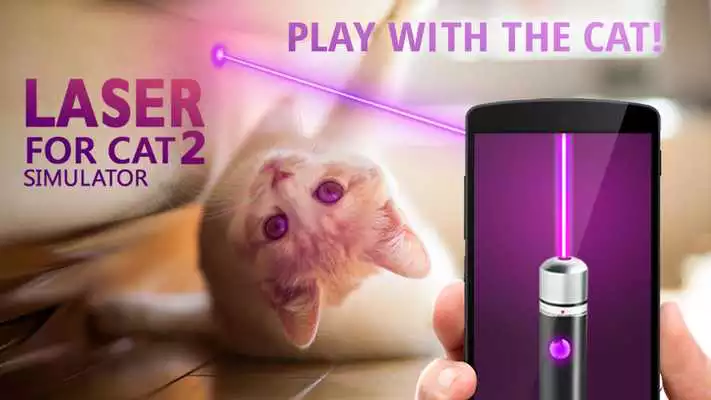 Play Laser for cat 2. Simulator