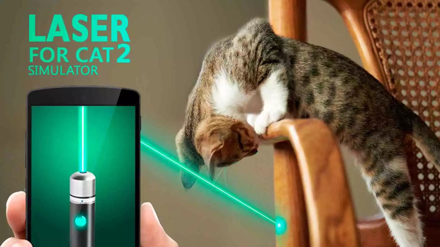 Play Laser for cat 2. Simulator