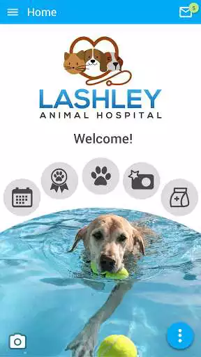 Play Lashley Animal Hospital  and enjoy Lashley Animal Hospital with UptoPlay