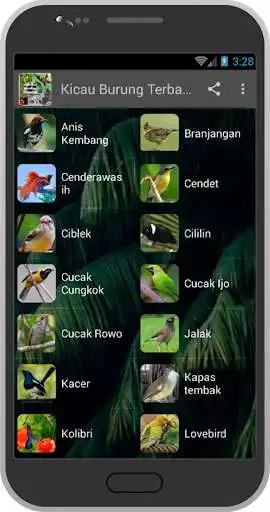 Play Latest Bird Chirping  and enjoy Latest Bird Chirping with UptoPlay