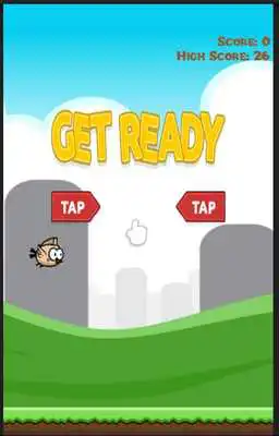 Play LazyBird