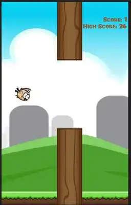 Play LazyBird