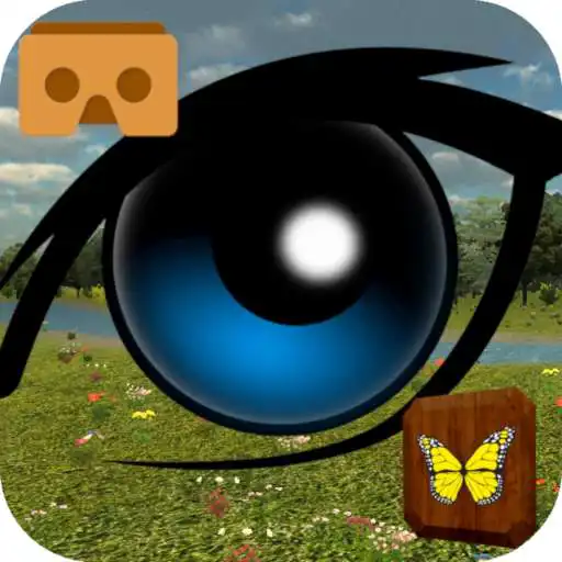 Play Lazy eye training VR APK