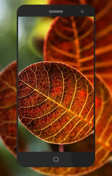 Play Leafe Wallpaper  and enjoy Leafe Wallpaper with UptoPlay