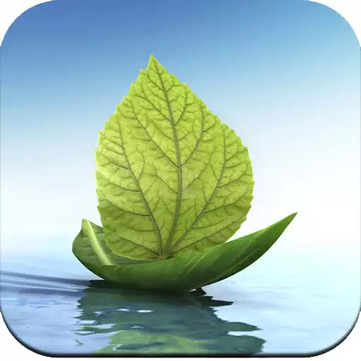 Play Leaf Wallpaper HD APK