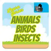 Free play online Learn Animals, Birds, Insects APK