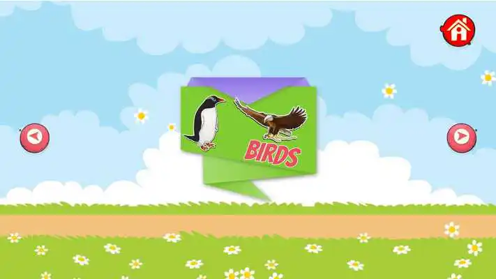 Play Learn Animals, Birds, Insects