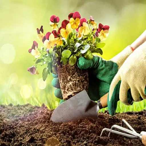 Play Learn gardening APK