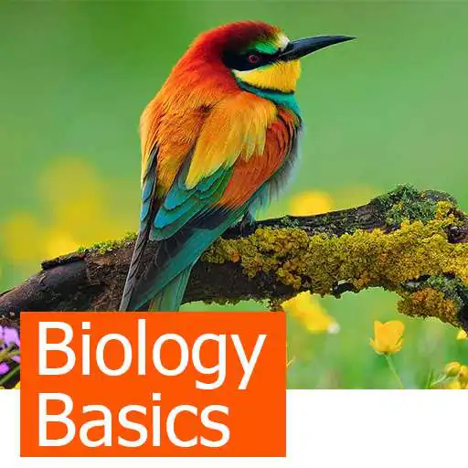 Free play online Learning Biology Basics  APK