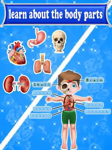 Play Learning Human Body Parts For Kids