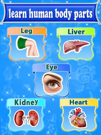 Play Learning Human Body Parts For Kids