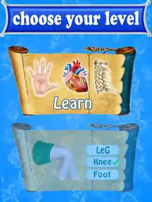 Play Learning Human Body Parts For Kids