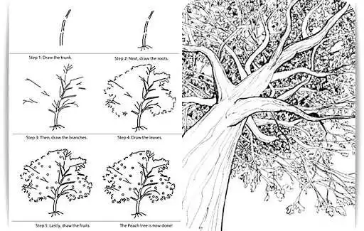 Play Learn to Draw Trees  and enjoy Learn to Draw Trees with UptoPlay