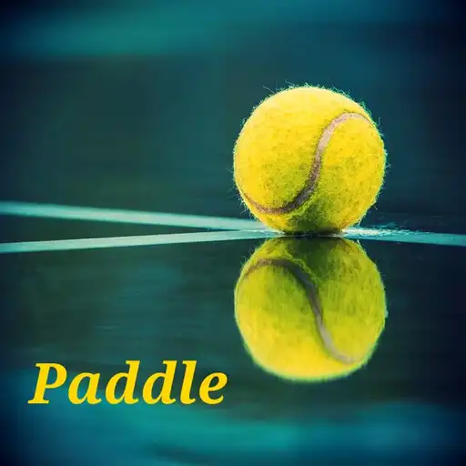 Play Learn to play paddle tennis wi APK