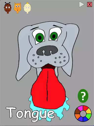 Play Learn Words: Parts of the Face as an online game Learn Words: Parts of the Face with UptoPlay