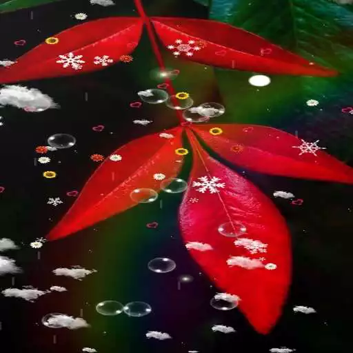 Play Leaves Wallpaper APK