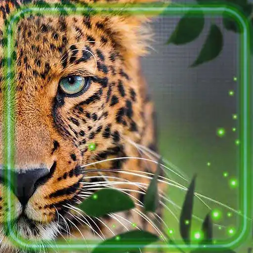 Play Leopard Jungle Live Wallpaper APK