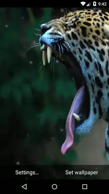 Play Leopard Live Wallpaper HD