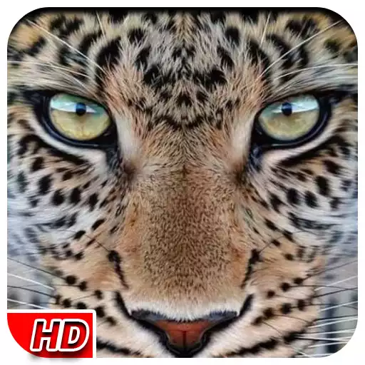 Free play online Leopard Live Wallpaper APK