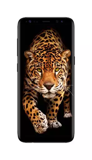 Play Leopard Live Wallpaper as an online game Leopard Live Wallpaper with UptoPlay