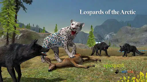 Play Leopards of the Arctic  and enjoy Leopards of the Arctic with UptoPlay