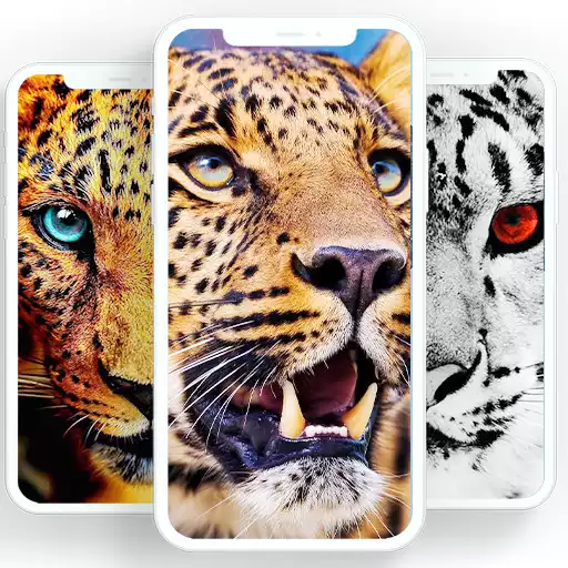 Play Leopard Wallpaper APK