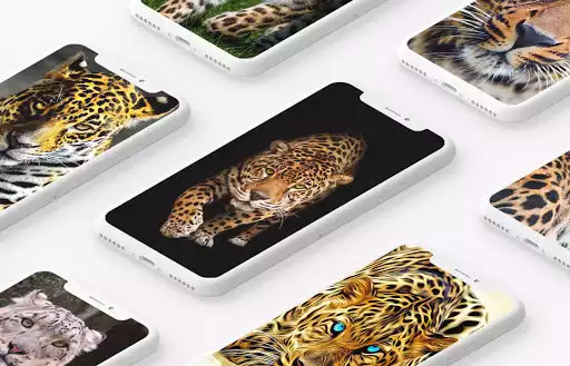 Play Leopard Wallpaper  and enjoy Leopard Wallpaper with UptoPlay