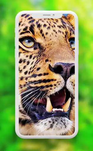 Play Leopard Wallpaper as an online game Leopard Wallpaper with UptoPlay