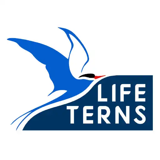 Play LifeTerns APK