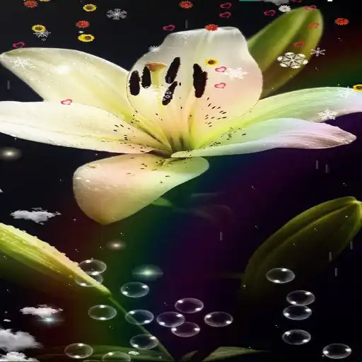 Play Lily Flower Wallpaper APK