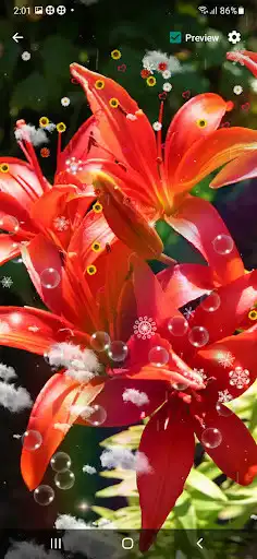 Play Lily Flower Wallpaper as an online game Lily Flower Wallpaper with UptoPlay