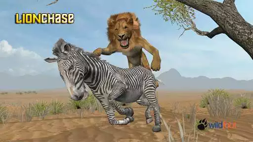 Play Lion Chase