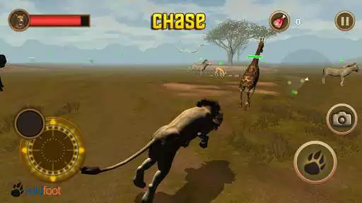 Play Lion Chase