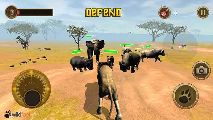 Play Lion Chase