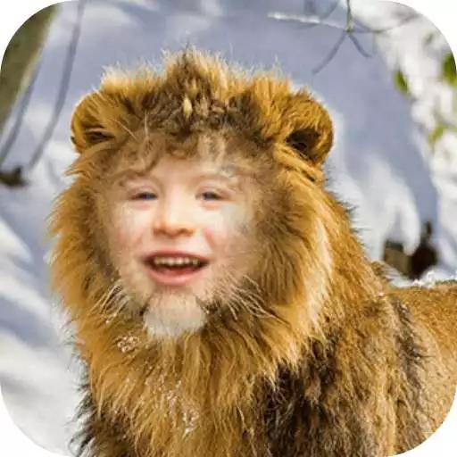 Free play online Lion Face Photo Editor APK