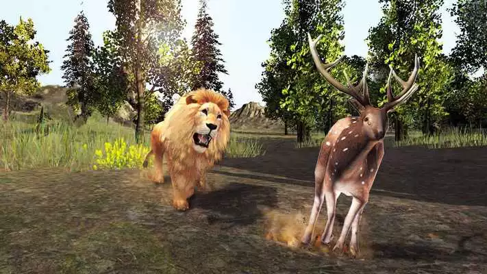 Play Lion Simulator : Hunting Games