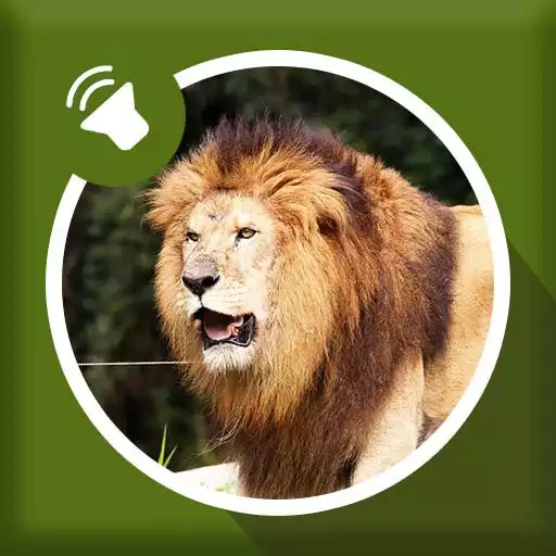 Play Lion Sounds APK