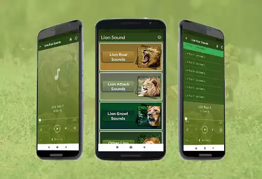 Play Lion Sounds  and enjoy Lion Sounds with UptoPlay