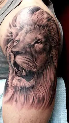 Play Lion Tattoo Designs  and enjoy Lion Tattoo Designs with UptoPlay