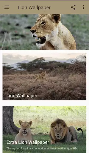 Play Lion Wallpaper  and enjoy Lion Wallpaper with UptoPlay