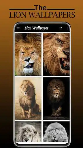 Play Lion Wallpaper, Sher Ka Photo as an online game Lion Wallpaper, Sher Ka Photo with UptoPlay