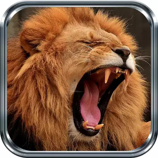 Play Lion Wallpapers APK