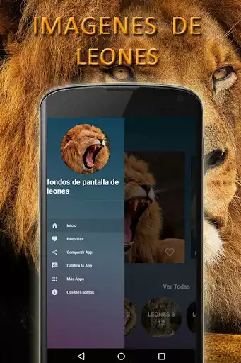 Play Lion Wallpapers  and enjoy Lion Wallpapers with UptoPlay