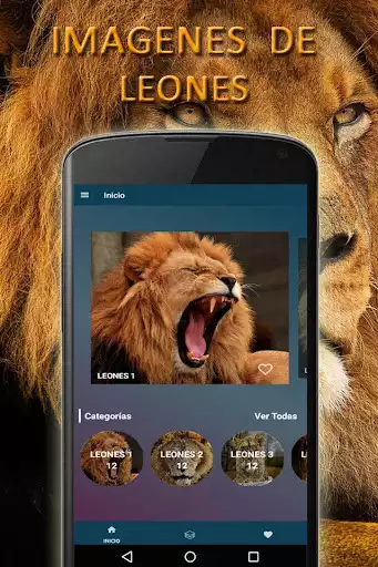 Play Lion Wallpapers as an online game Lion Wallpapers with UptoPlay