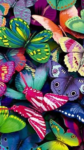 Play Live Butterfly Wallpapers  and enjoy Live Butterfly Wallpapers with UptoPlay