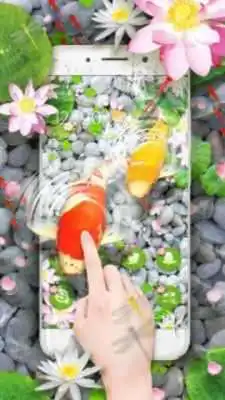 Play Lively Koi Fish 3D Theme